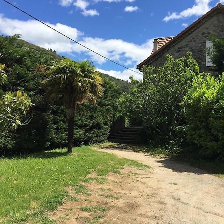Grande Maison Familiale En Pierres Sud Ardeche Lalevade-d'Ardeche Экстерьер фото