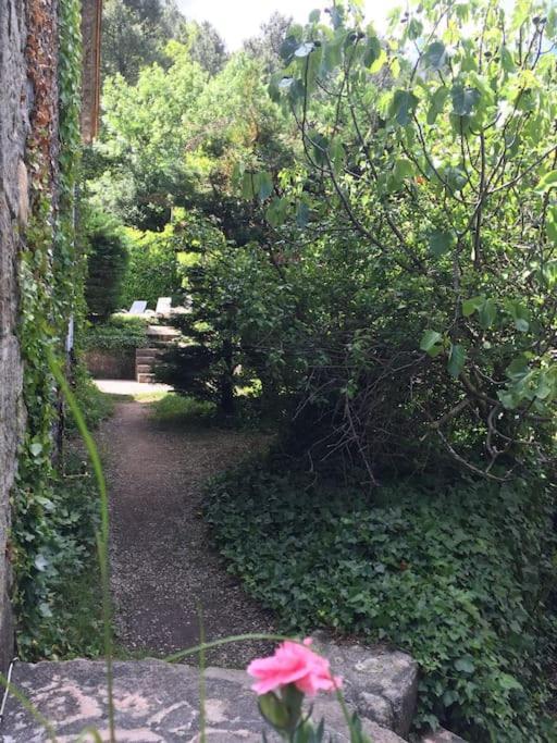 Grande Maison Familiale En Pierres Sud Ardeche Lalevade-d'Ardeche Экстерьер фото
