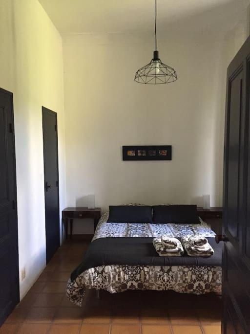 Grande Maison Familiale En Pierres Sud Ardeche Lalevade-d'Ardeche Экстерьер фото