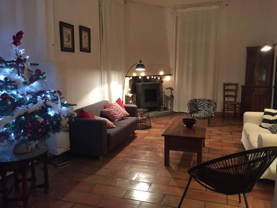 Grande Maison Familiale En Pierres Sud Ardeche Lalevade-d'Ardeche Экстерьер фото